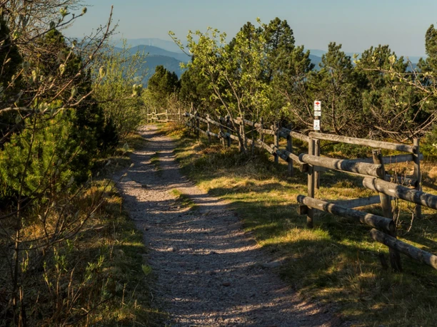 Schliffkopf Weg