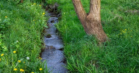kassel_quellbachtal_2143a.jpg
