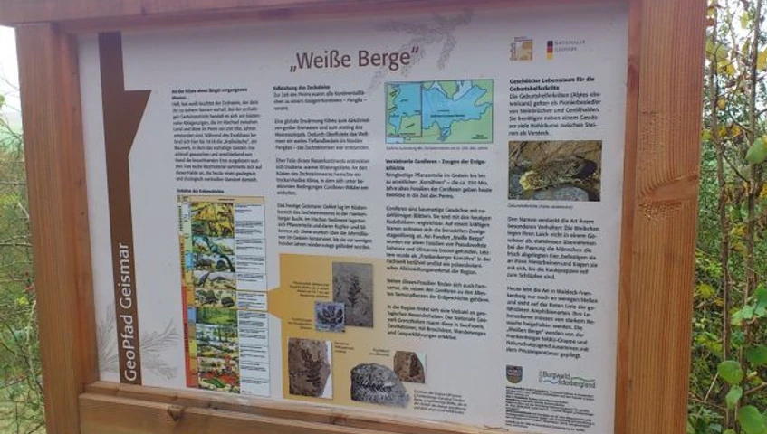 Infotafel "Weiße Berge" des Geopfads in Geismar