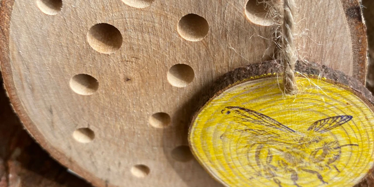 Insektenhotel_Foto Sina Kruse.png