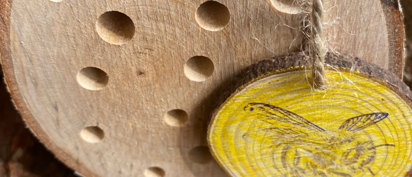 Insektenhotel_Foto Sina Kruse.png