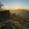 Olsberg Gipfel in der Abendsonne.jpg