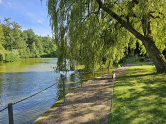 Weitläufiger Parkweg am Teich mit Weide im Sonnenlicht und Enten am Ufer im Bürgerpark Bremerhaven.