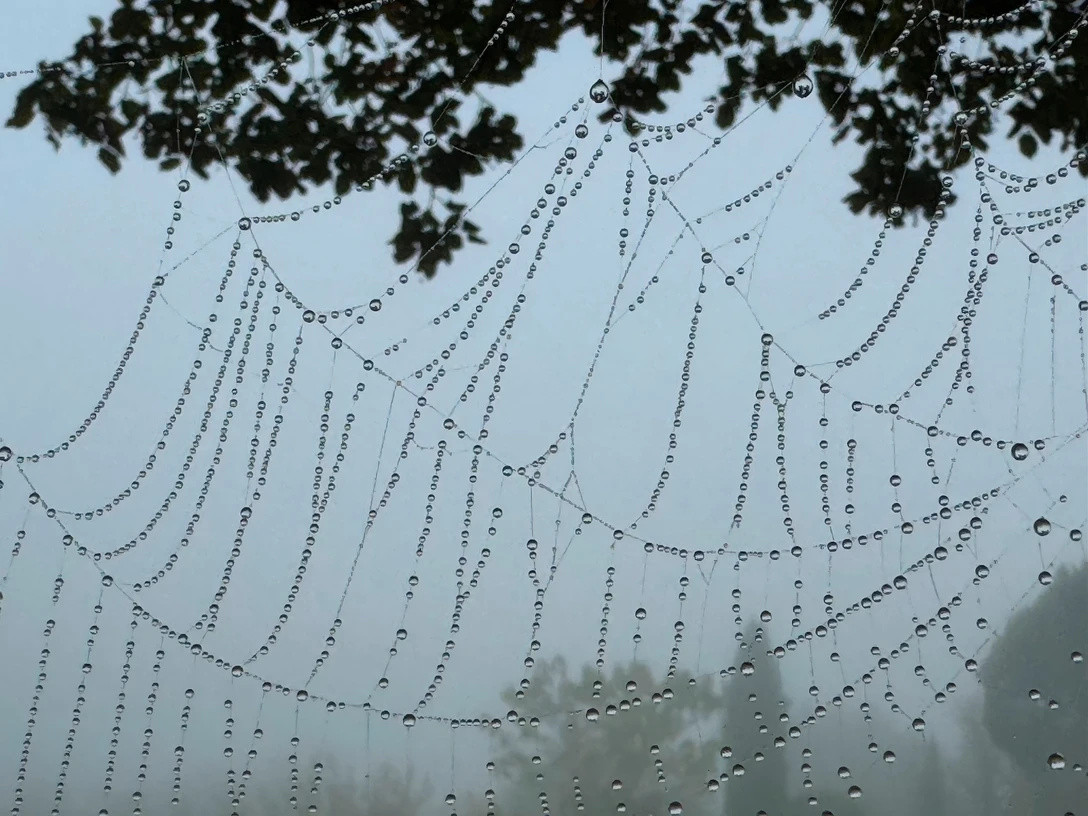 Regine Buchler, Cenac et St. Julien II, 2025 © Regine Buchler.jpg