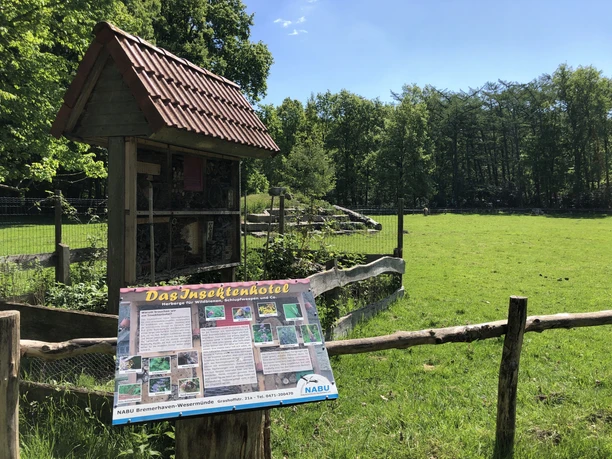 Bürgerpark (c) Mailin Knoke (73).JPG Grüne Wiese mit Insektenhotel aus Holz, Infotafel des NABU und dahinter dichter Baumbestand.