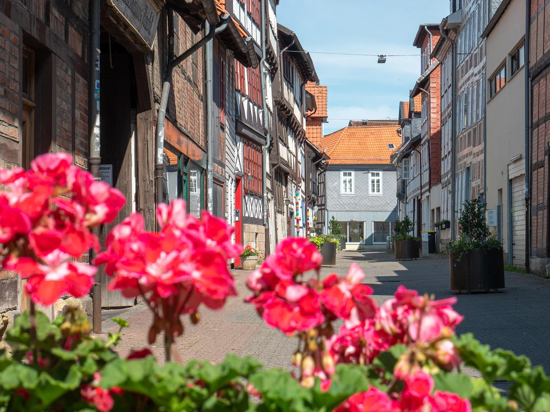 Stobenstraße.jpg Schmale Gasse mit historischen Fachwerkhäusern und roten Blumen im Vordergrund bei Sonnenschein.