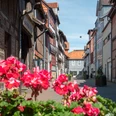 Stobenstraße.jpg Schmale Gasse mit historischen Fachwerkhäusern und roten Blumen im Vordergrund bei Sonnenschein.