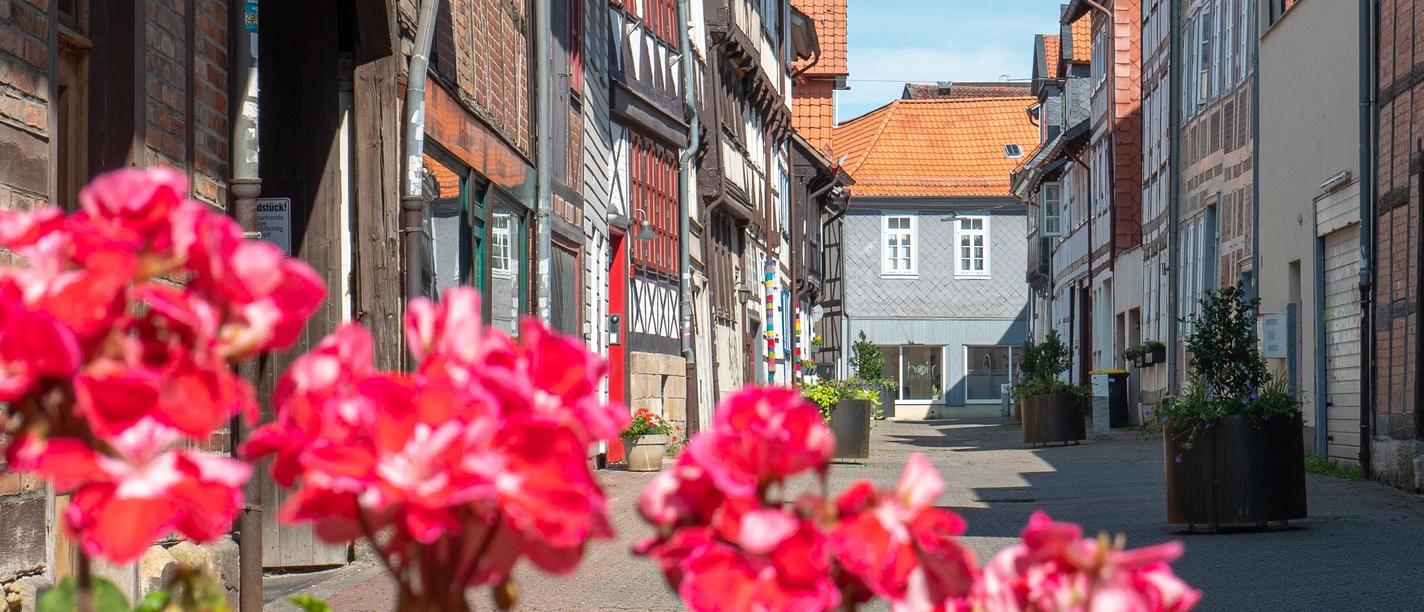 Stobenstraße.jpg Schmale Gasse mit historischen Fachwerkhäusern und roten Blumen im Vordergrund bei Sonnenschein.