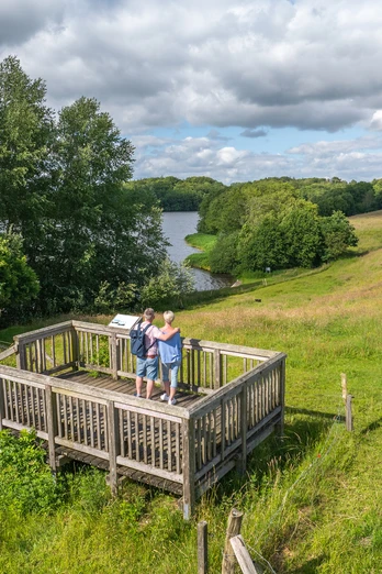 DJI_20240619170319_0070_D