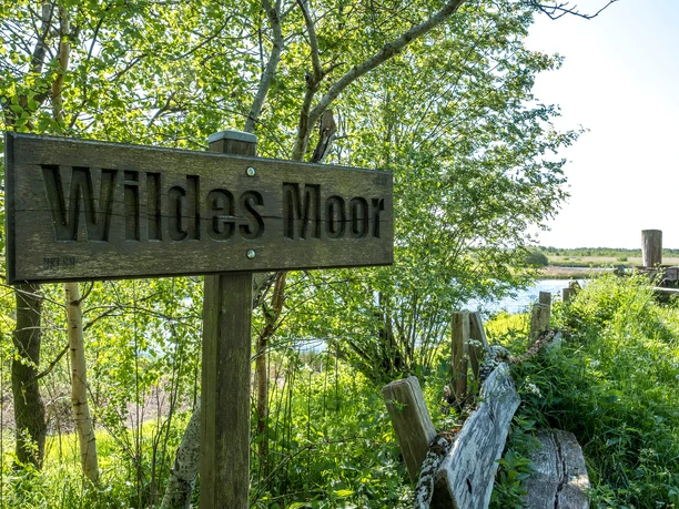 Wildes Moor Schild