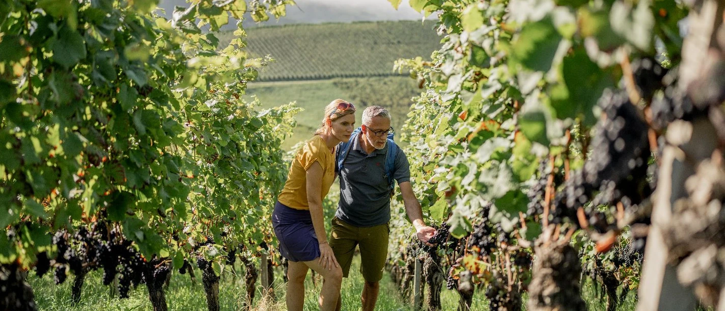 Weinwanderung