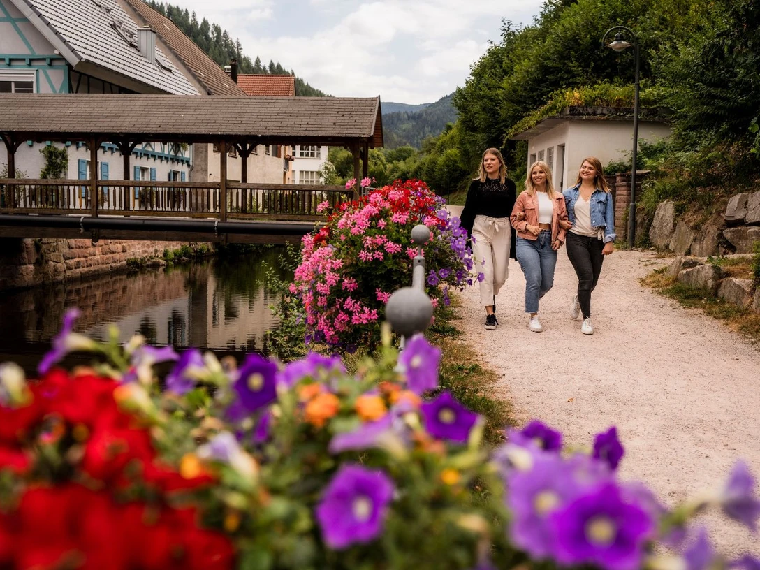 Spaziergang durch Oppenau