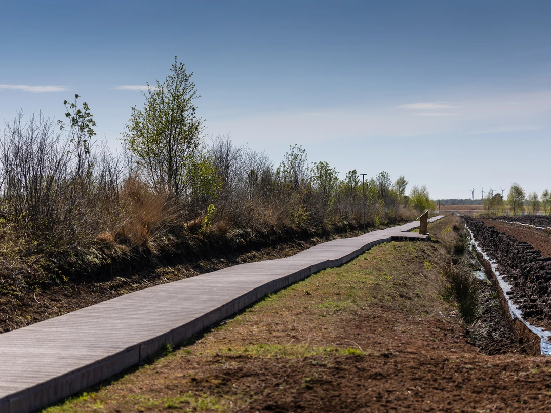 Extern - Natur & Landschaft - Michael Völz - Diepholzer Moor Moorsteg(1).JPG
