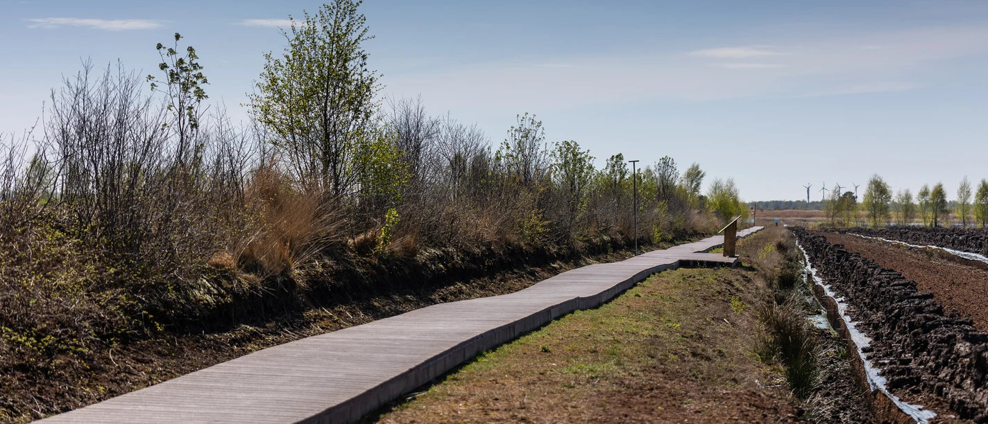 Extern - Natur & Landschaft - Michael Völz - Diepholzer Moor Moorsteg(1).JPG