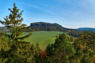 Im Vordergrund Bäume im Hintergrund Feld mit Pfaffenstein.