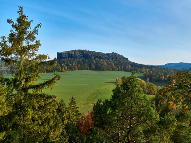 Im Vordergrund Bäume im Hintergrund Feld mit Pfaffenstein.