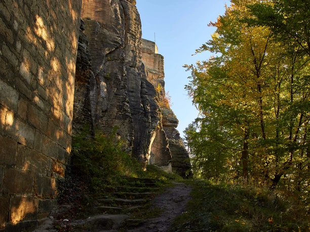 Felsenwand der Festung Königstein in der Mitte ein weg und auf der rechten Seite Wald.