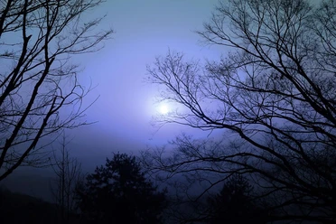 De volle maan schijnt boven het stille heidelandschap; kale takken omlijsten de nachtelijke, blauwachtige hemel.