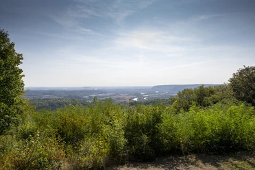 Naturschutzgebiet Wolferskopf