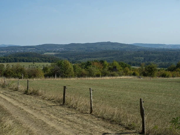 Naturschutzgebiet Wolferskopf