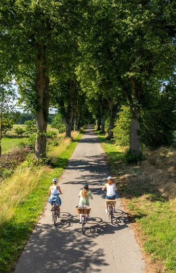 von Hamburg nach Rügen_sH-Tourismus_MOCANOX.jpg