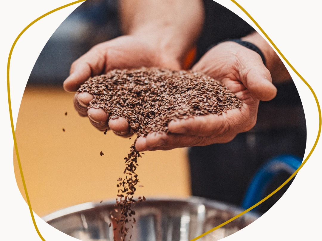 Blick hinter die Kulissen (1).png Zwei Hände voll mit Leinsamen