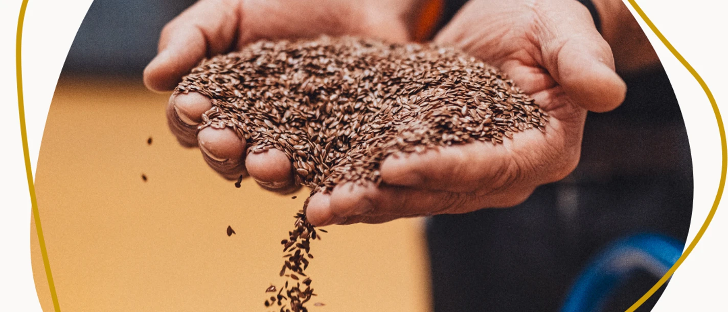 Blick hinter die Kulissen (1).png Zwei Hände voll mit Leinsamen