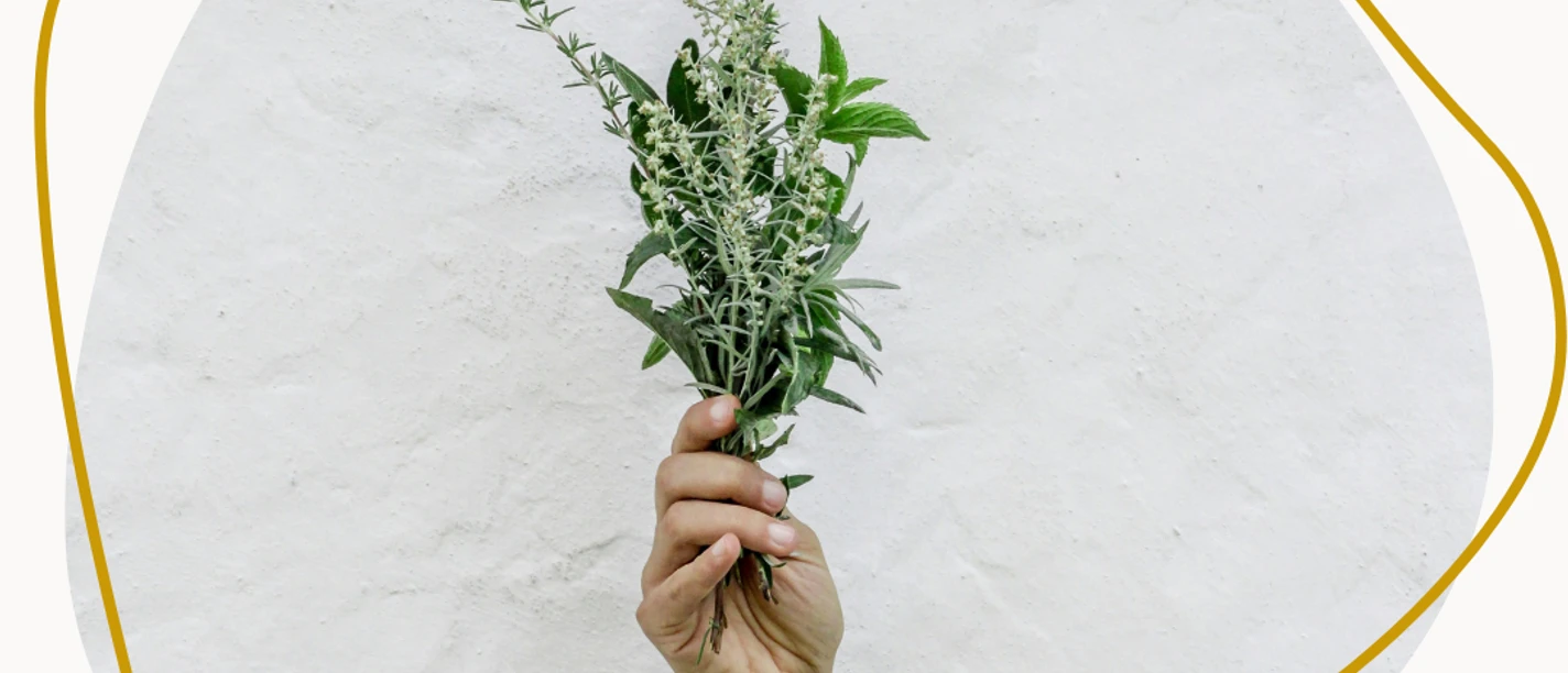 Wildes Fingerfood_Duurland (1).png Hand mit einem Bund Wildkräutern