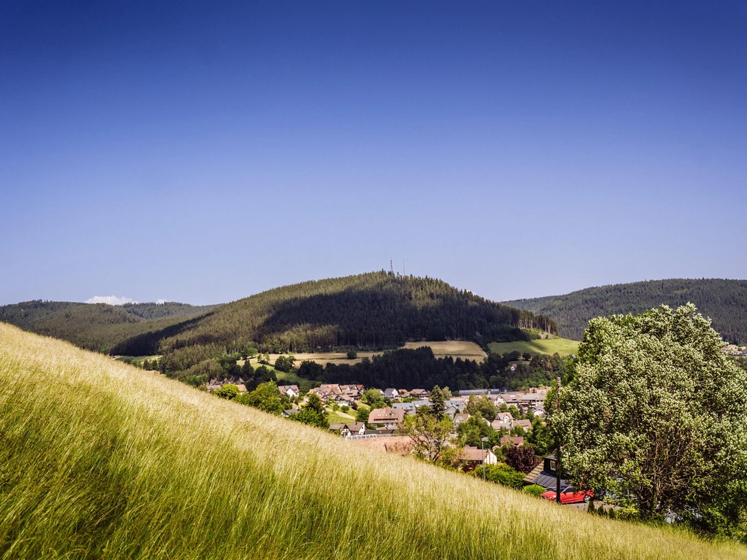 Ortsansicht Baiersbronn