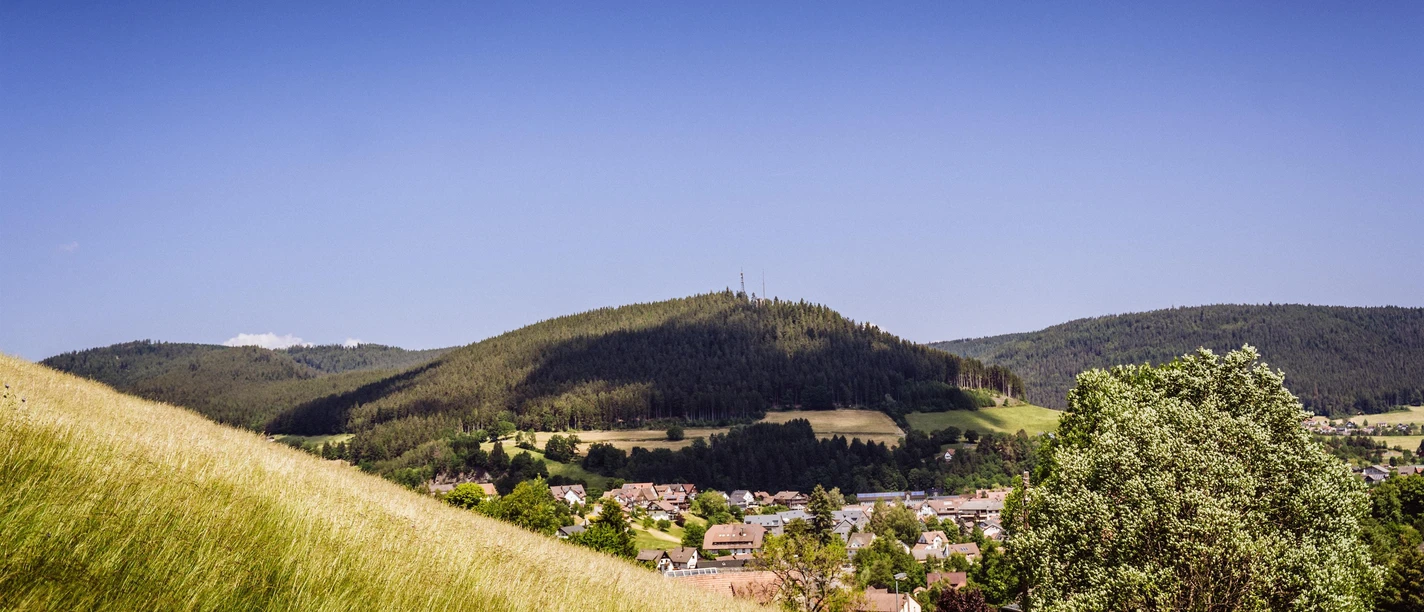 Ortsansicht Baiersbronn