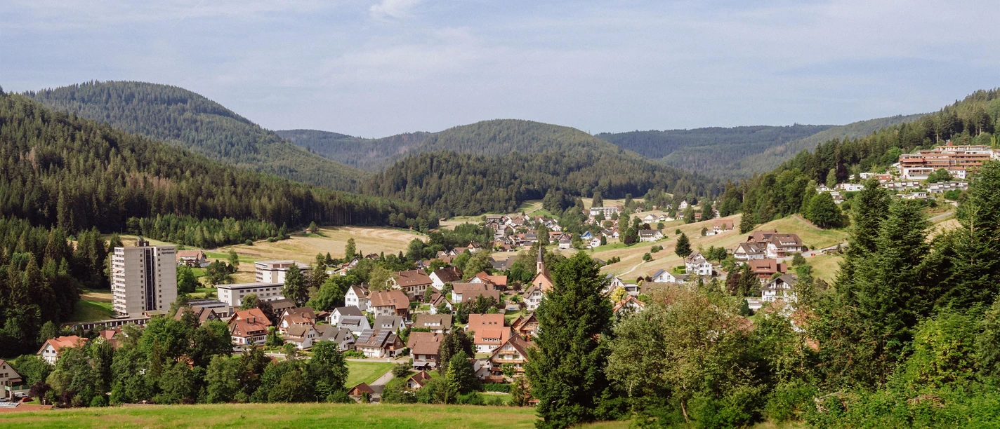 50 Jahre IGO