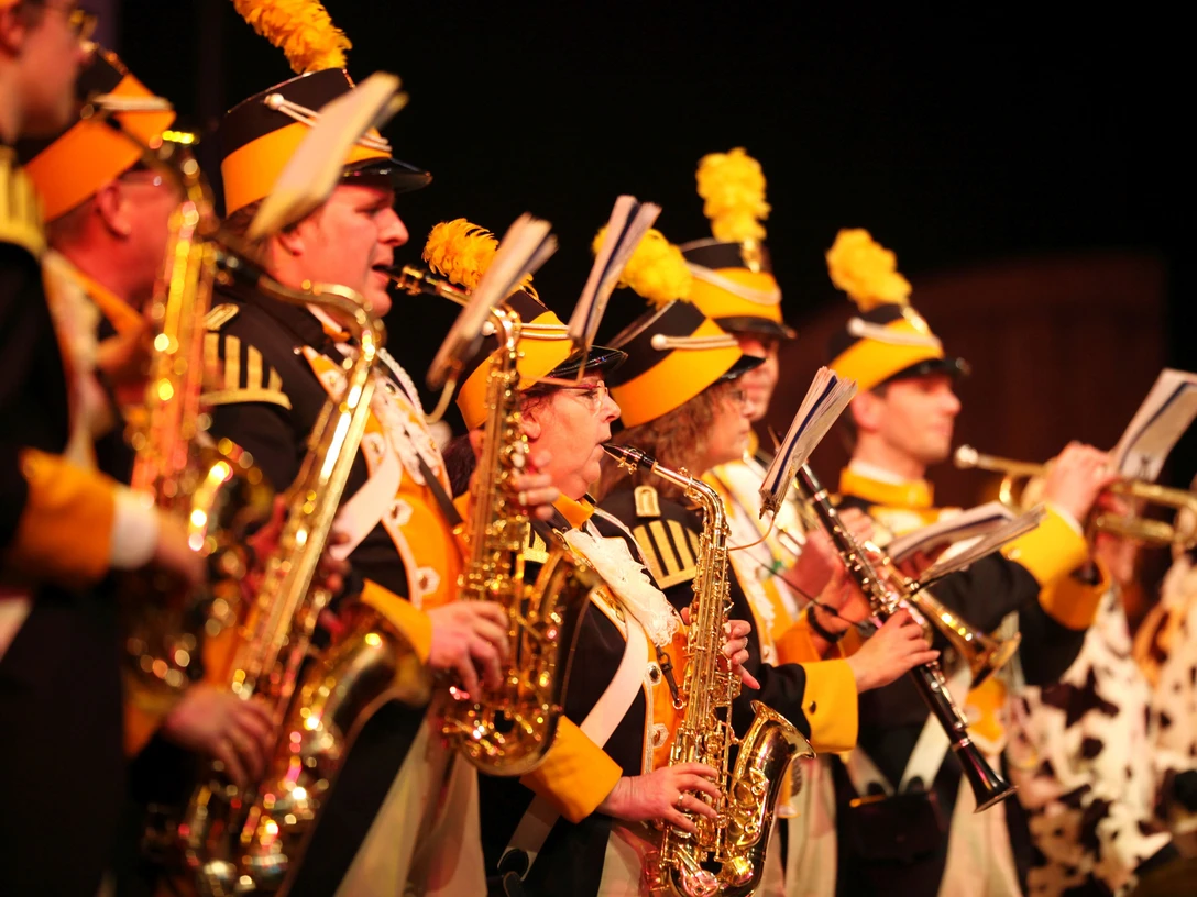 2011 Aachener Karneval (c) Andreas Steindl (21).JPG Ein Spielmannszug spielt in karnevalistischer Uniform auf verschiedenen Instrumenten.
