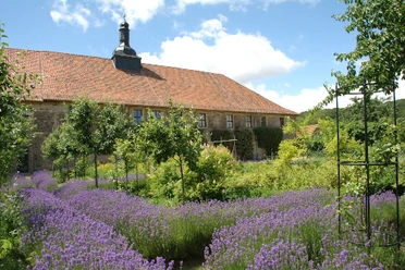 20260627_gartenfuehrung.jpg