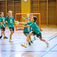 Polysport2.jpg