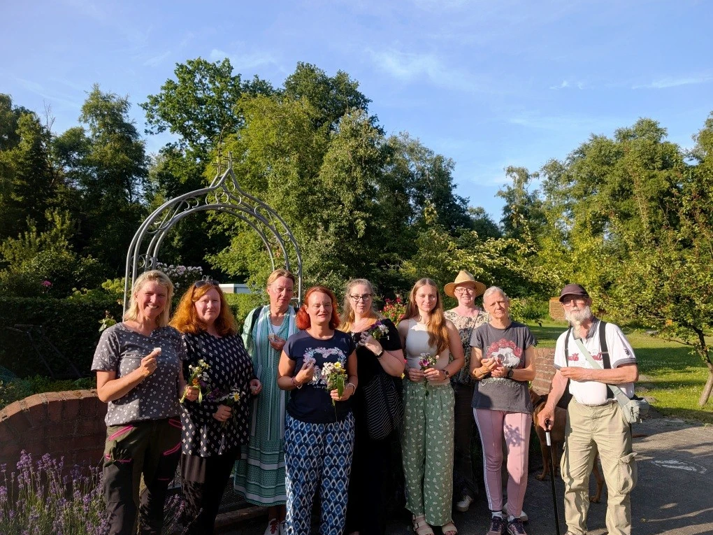 Johanniskraut klein 1 .jpg