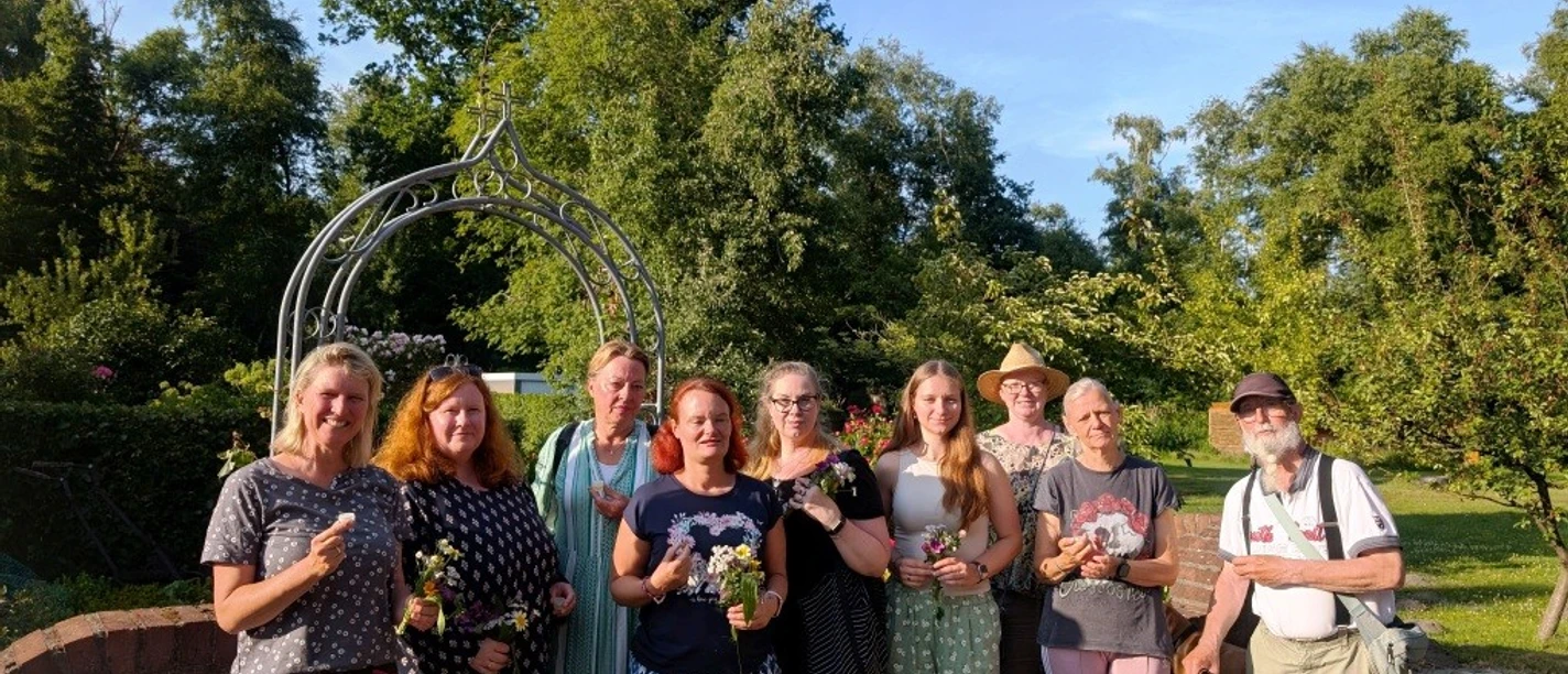 Johanniskraut klein 1 .jpg