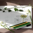 VHS Kurs_Botanisches Zeichnen.jpg Zeichnung mit Blumenskizzen, Buntstifte und Efeuzweig