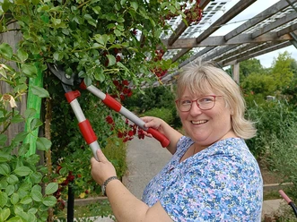 Frau mit Heckenschere am Rosenstrauch