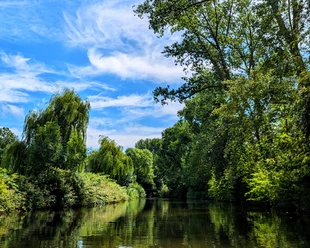 Grachten Emden.jpg Grüne Bäume spiegeln sich im ruhigen Wasser der Emder Grachten unter blauem Himmel.