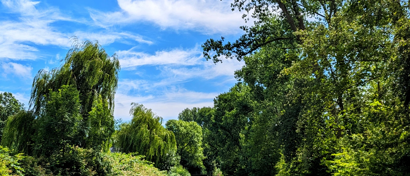 Grachten Emden.jpg Grüne Bäume spiegeln sich im ruhigen Wasser der Emder Grachten unter blauem Himmel.