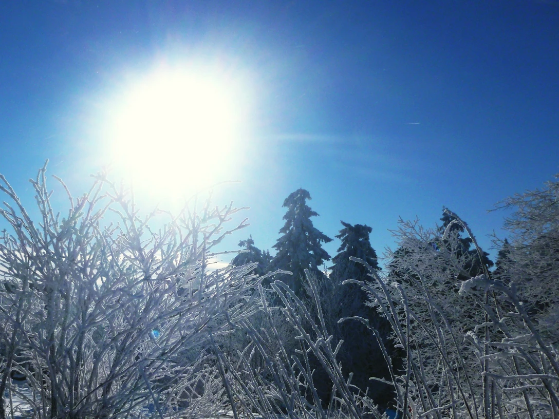 Winterlicher Taunus (CBandy).jpg