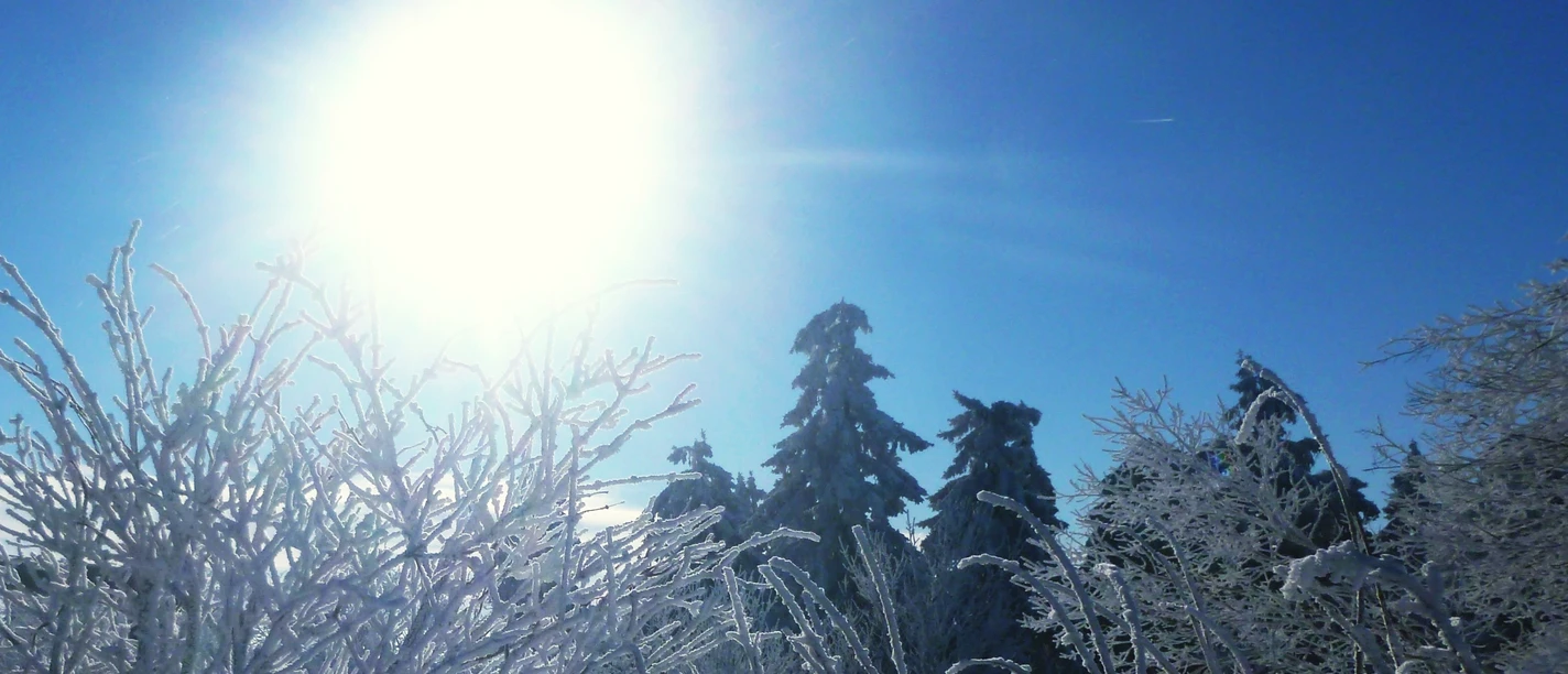 Winterlicher Taunus (CBandy).jpg
