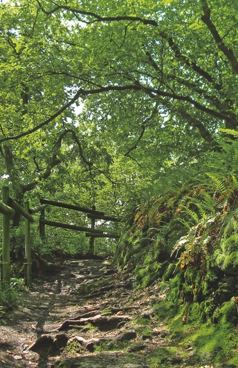 Schöne Pfade auf Etappe 2