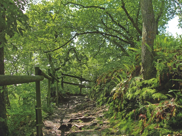 Schöne Pfade auf Etappe 2