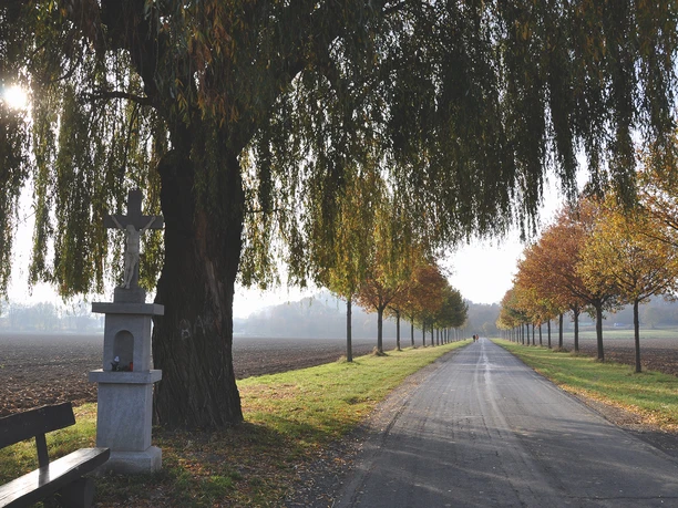 Alexianerallee Siegburg