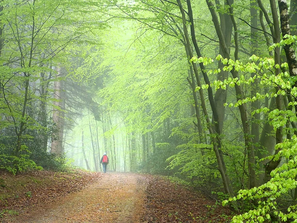 Natursteig Sieg Etappe 05