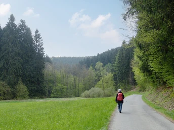 Natursteig Sieg Etappe 05