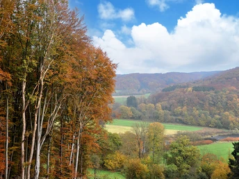 Natursteig Sieg, Etappe 05