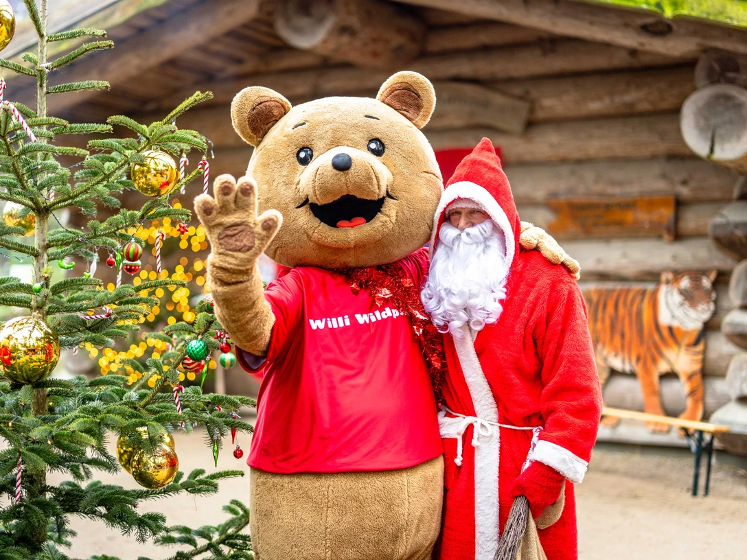 2025_12_16_PM_Weihnachten.jpg Weihnachtsmann und Maskottchen Willi Wildpark winken neben geschmücktem Baum im Wildpark.