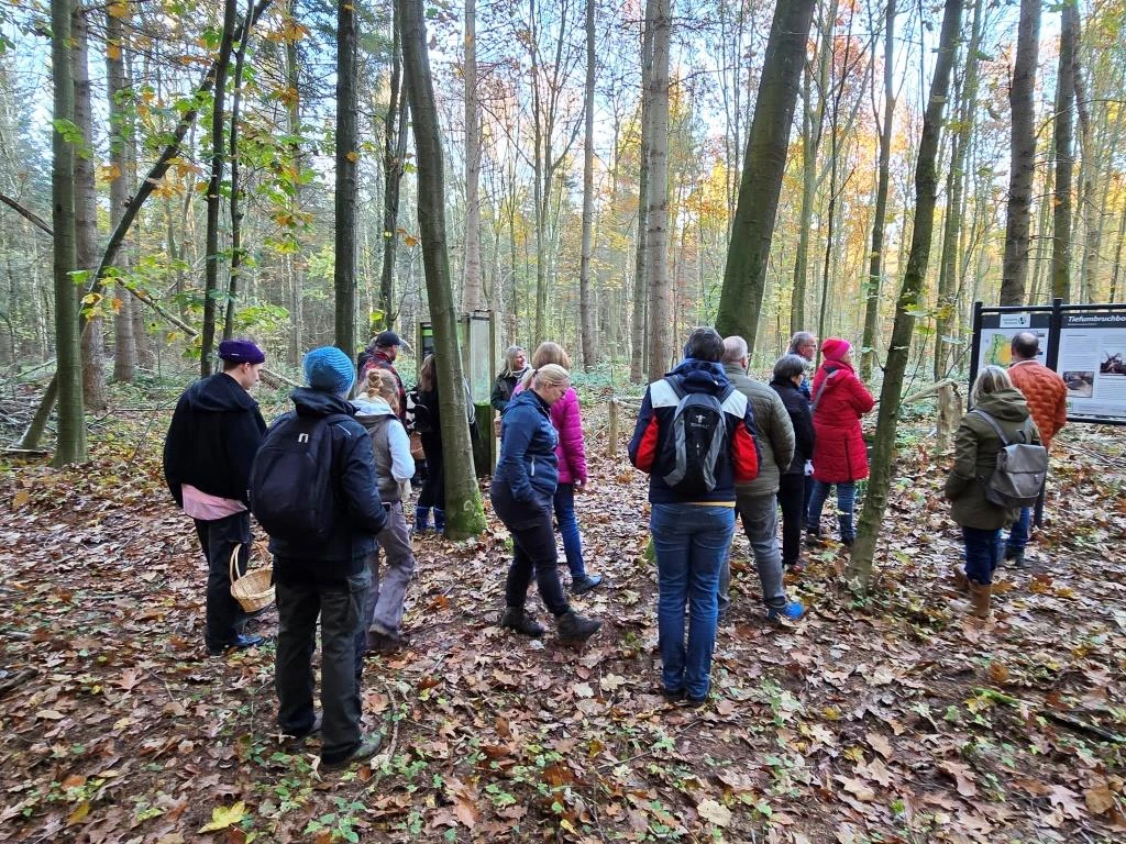 fullerner wald geotop.jpg
